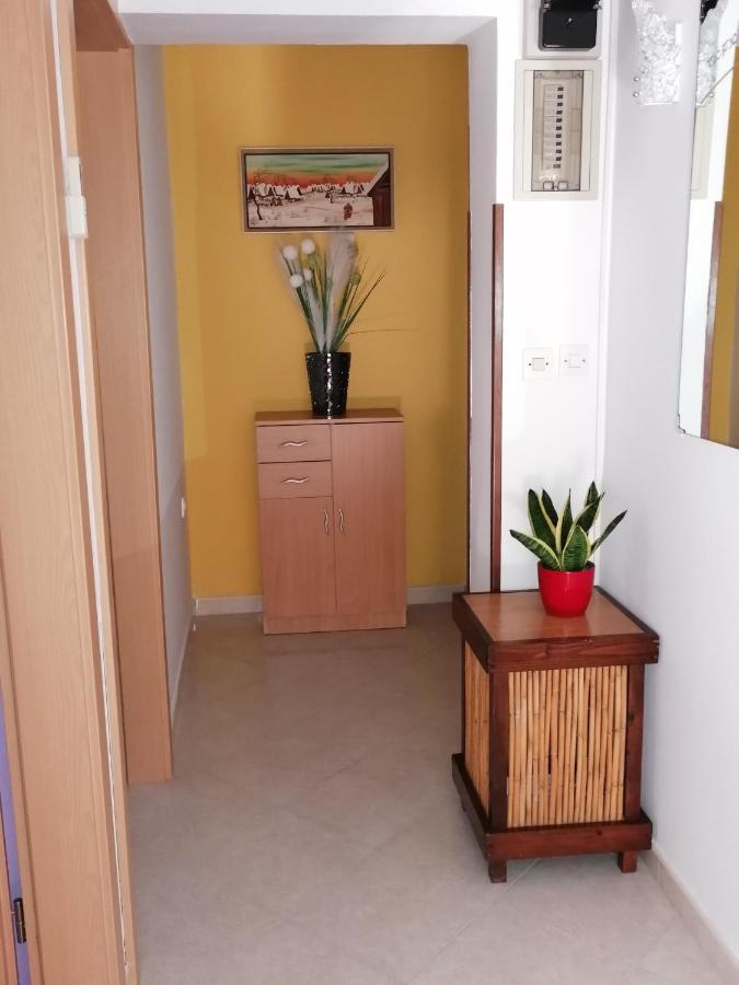 Apartman Bruna Novigrad Istria 外观 照片